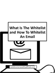 How To Whitelist An Email