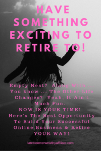 Have Something Exciting To Retire To!