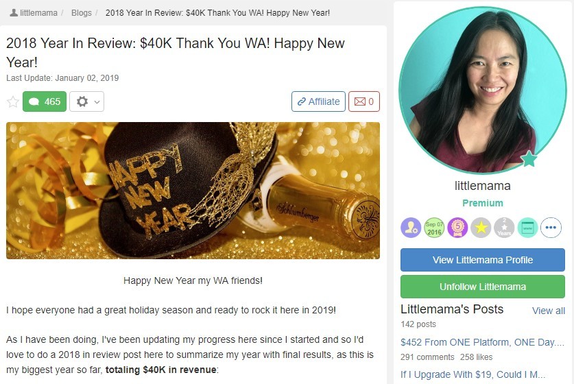 Littlemama - 2019 Year In Review:  $40K Thank You WA!  Happy New Year!