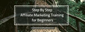 Step by Step Affiliate Marketing Training for Beginners